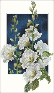 White hollyhocks Hollyhocks