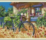 Bicycle Afternoon Bicycle Afternoon
