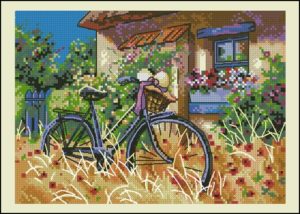 Bicycle Afternoon Bicycle Afternoon