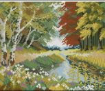Forest Landscape Forest Landscape