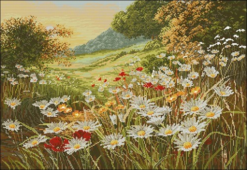 Evening Meadow with Daisies