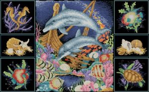 Wonders of the reef