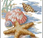 Shells in the Sand Shells in the Sand