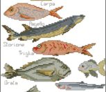 Fish for Fishing Fish for Fishing
