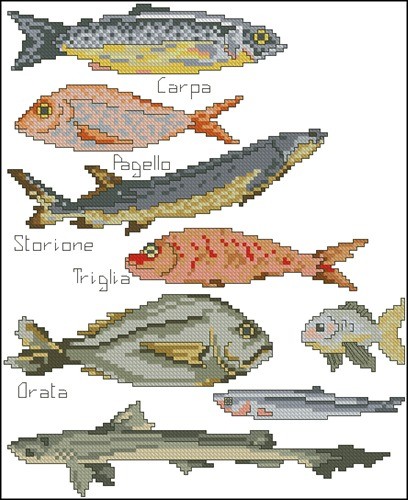 Fish for Fishing