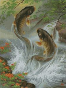 Карпы Кои Карпы Кои