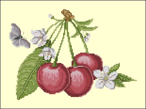 Вишня цветет