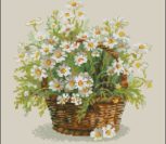 Russian Daisies Russian Daisies