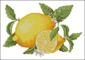 Summer Fruits - Lemons Summer Fruits - Lemons