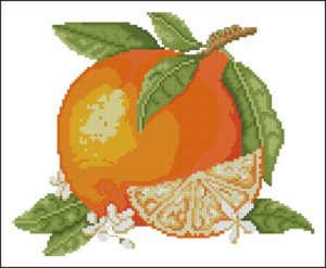 Summer Fruits – Orange Orange