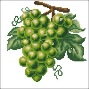 Виноград (зеленый) Виноград (зеленый)