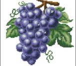 Виноград (синий) Виноград (синий)