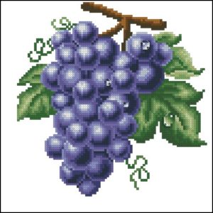 Виноград (синий) Виноград (синий)