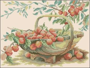 Basket with plums
