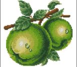 Apple (green) Apple (green)