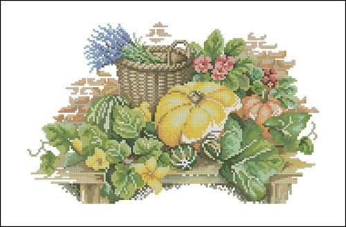 Pompoenen en bloemen