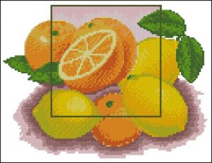 Лимоны + апельсины Лимоны + апельсины