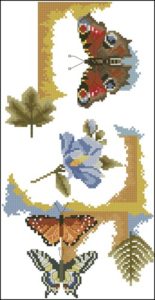 Butterfly collage Butterfly collage