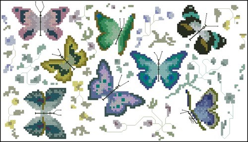 Butterfly Collection