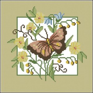 Butterfly Fantasy Butterfly Fantasy