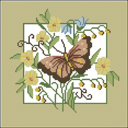 Butterfly Fantasy