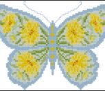 Butterfly with coreopsis daisies Butterfly with coreopsis daisies