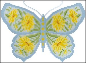 Butterfly with coreopsis daisies Butterfly with coreopsis daisies