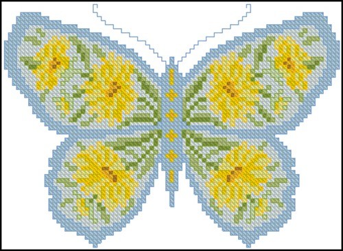 Butterfly with coreopsis daisies