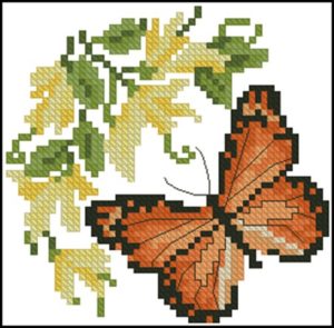 Monarch Monarch