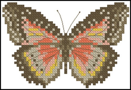 Motyl Brazowy