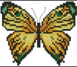 Motyl Zolty Motyl Zolty