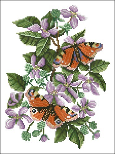 Peacock butterfly on bramble
