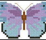 Purple butterfly Purple butterfly
