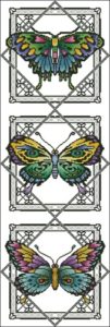 The Beauty of Butterfly The Beauty of Butterfly