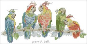 Parrot talk Parrot talk