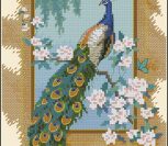 Beautiful Bird Beautiful Bird