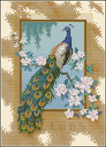 Beautiful Bird Beautiful Bird