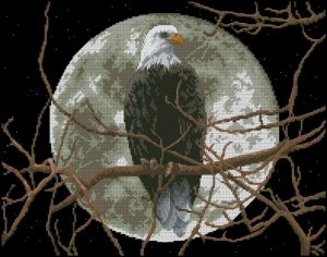 Eagle in Moonlight Eagle in Moonlight