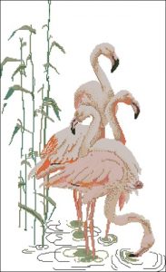 Flamingos Flamingos