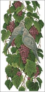 Vineyard Doves Vineyard Doves