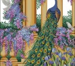 Peacock Elegance Peacock Elegance