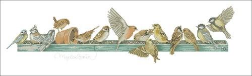 Vogeltjes in voerbak