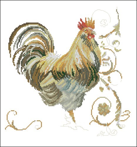Proud cockerel