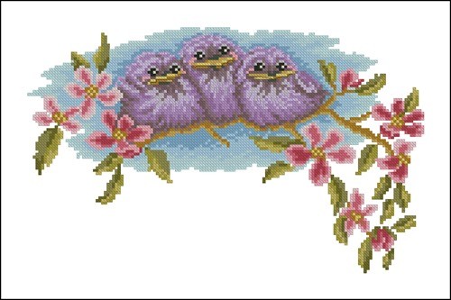 Птенцы