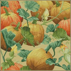 Pumpkin Patch Pumpkin Patch