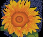 Sunflower, Yellow Flower serie Sunflower, Yellow Flower serie