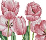 Tulip Pillows 1 Tulip Pillows 1