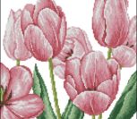 Tulip Pillows 2 Tulip Pillows 2