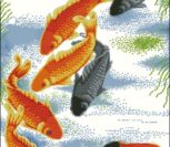 Fish of Fortune Fish of Fortune
