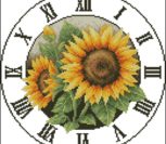 Romantics sun Flowers Romantics sun Flowers